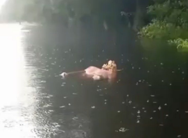 familia-encontra-corpo-boiando