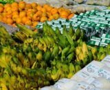 imagem_materia-2-13-2