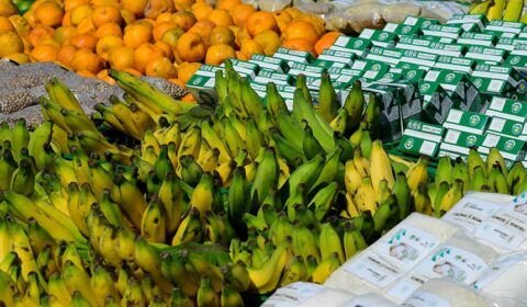 imagem_materia-2-13-2