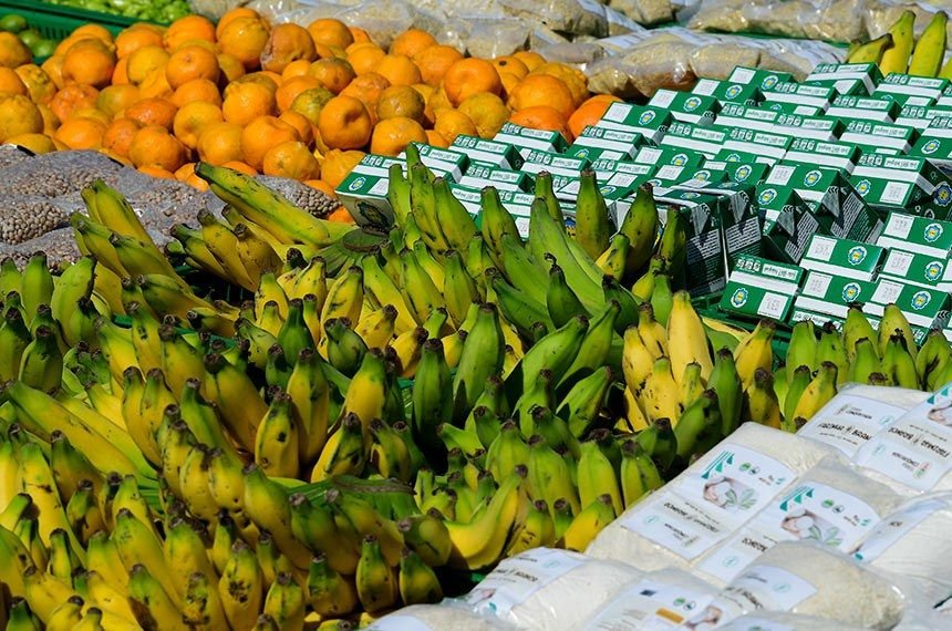 imagem_materia-2-13-2