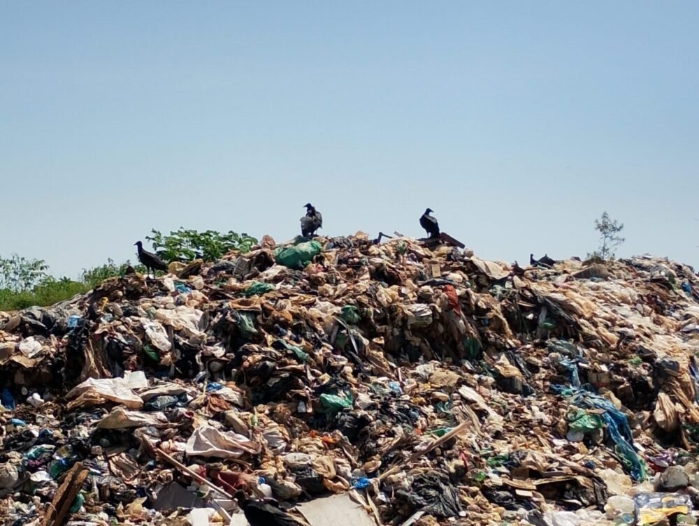 prad-expoe-omissao-da-prefeitu