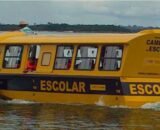 458366d6-8be1-4e36-b594-9706b08e1795-2