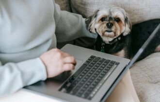 gastos-com-pets-seguem-fora-do-imposto-de-renda-em-2026-pexels-1