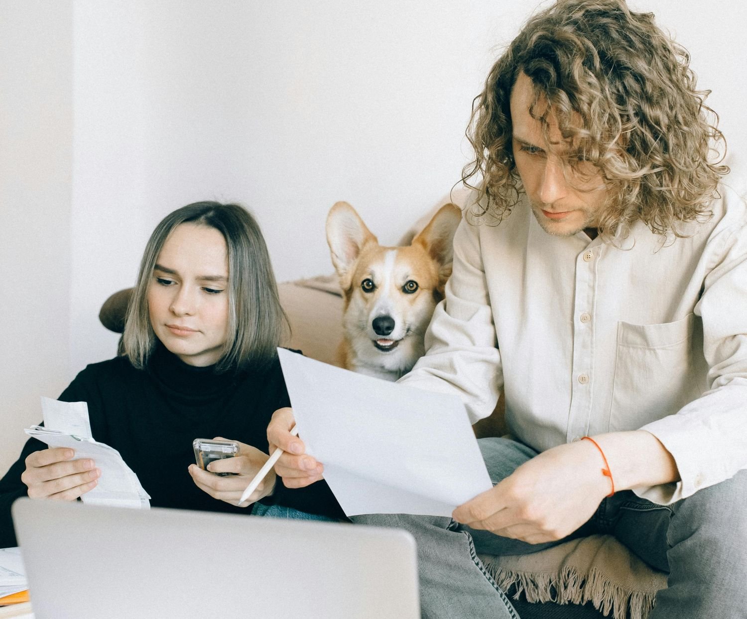 gastos-com-pets-seguem-fora-do-imposto-de-renda-em-2026-pexels-2