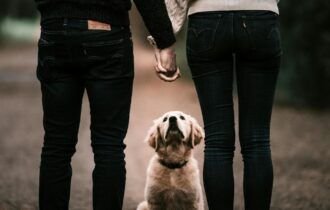 guarda-compartilhada-de-pets-entra-na-lei-brasileira-pexels-1