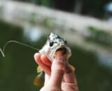 screenshot_2026-04-29-14-38-45-147_com-android-chrome