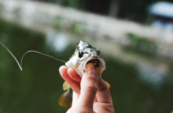 screenshot_2026-04-29-14-38-45-147_com-android-chrome