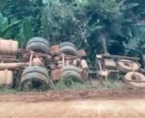 whatsapp-image-2026-04-02-at-12-08-35-1