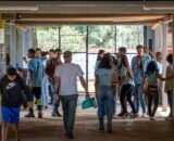 dd55c29a-af1e-42e6-82c5-3d01eec4b4c8