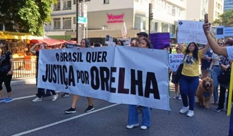 manifestacao-em-brasilia-cobra