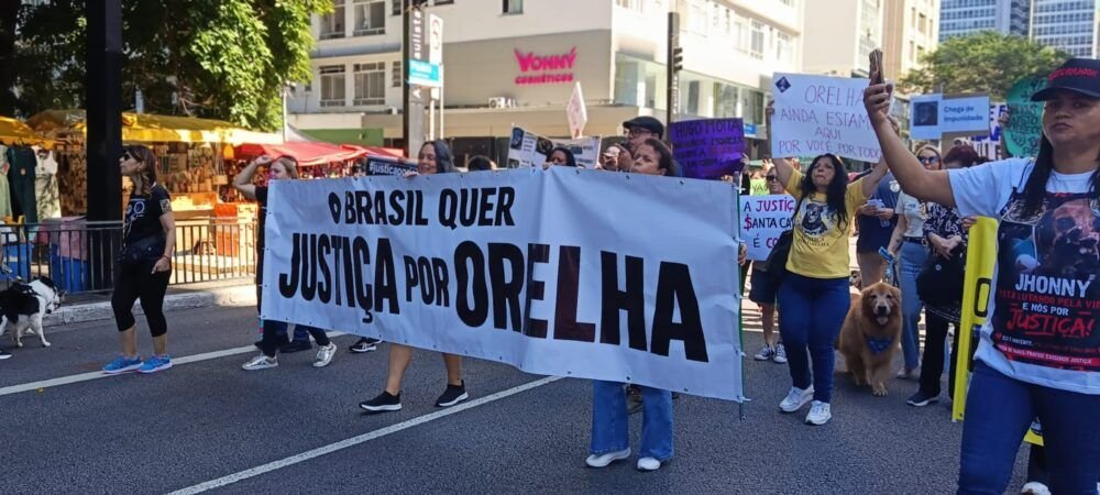 manifestacao-em-brasilia-cobra