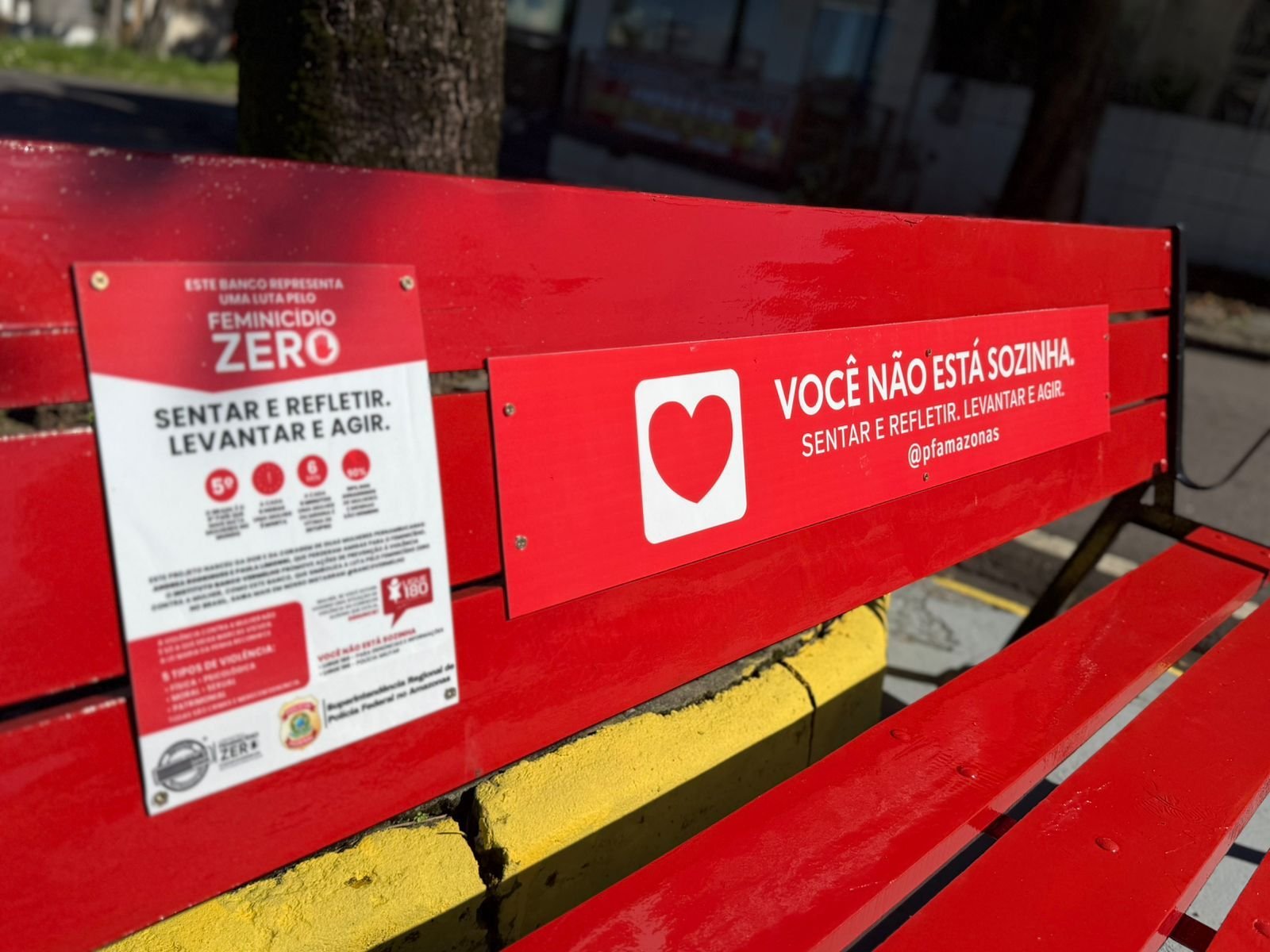 pfam-realiza-lancamento-do-ban