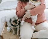 maternidade-multiespecie-reacende-discussao-sobre-o-papel-dos-pets-nas-familias-pexels-2