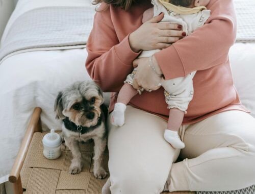 maternidade-multiespecie-reacende-discussao-sobre-o-papel-dos-pets-nas-familias-pexels-2
