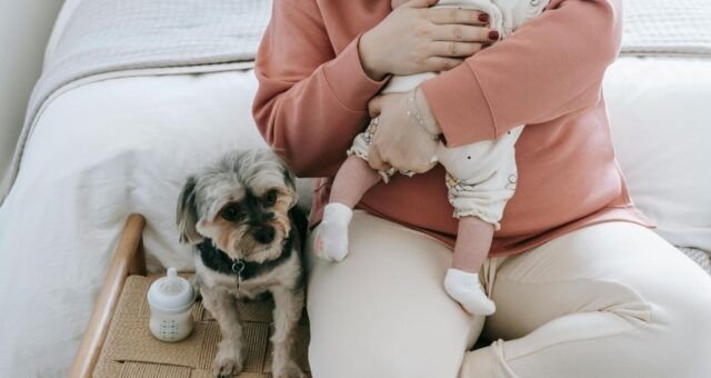 maternidade-multiespecie-reacende-discussao-sobre-o-papel-dos-pets-nas-familias-pexels-2