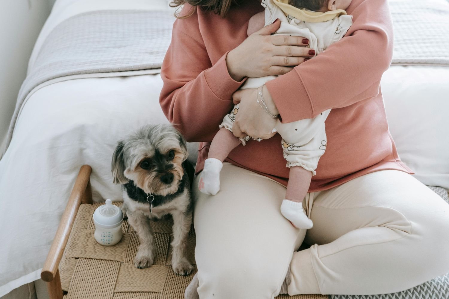 maternidade-multiespecie-reacende-discussao-sobre-o-papel-dos-pets-nas-familias-pexels-2