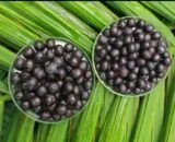 acai-registra-alta-historica-e