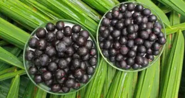 acai-registra-alta-historica-e