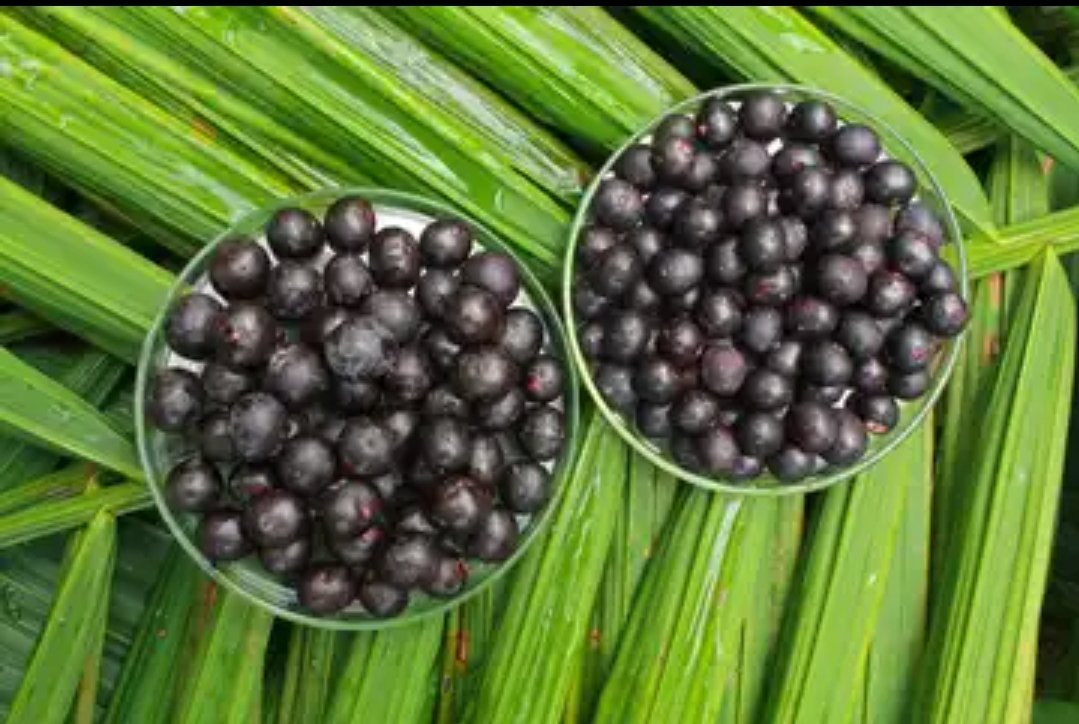 acai-registra-alta-historica-e