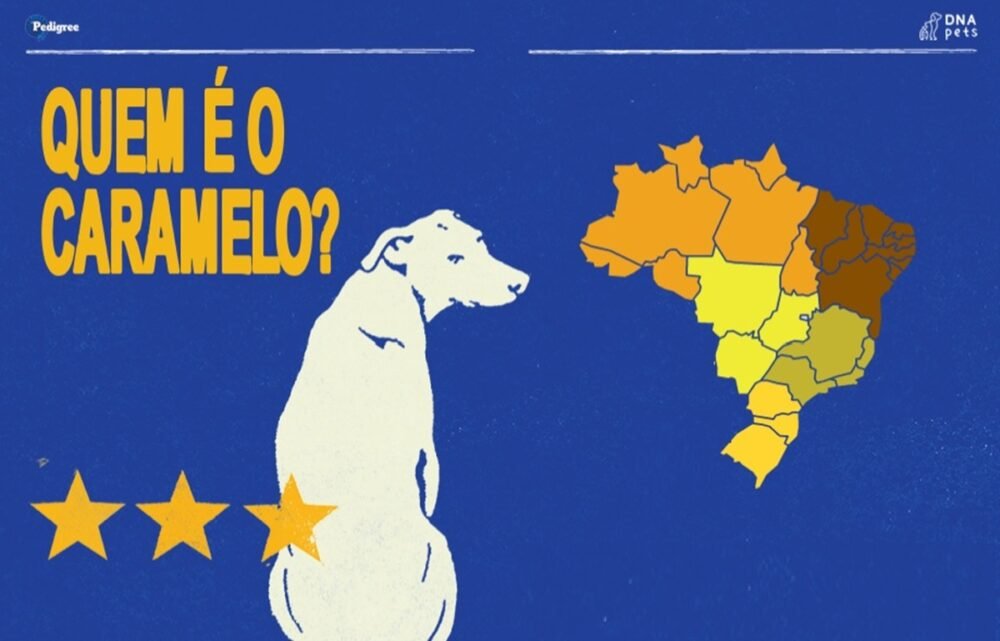 dna-do-vira-lata-caramelo-do-n