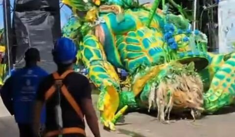 alegoria-do-caprichoso-despenc