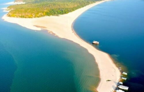 caribe-da-amazonia-vai-a-leila