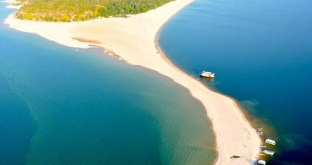 caribe-da-amazonia-vai-a-leila