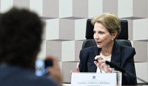 imagem_materia-2-30