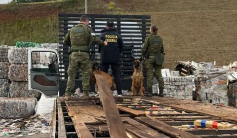 pf-apreende-550-quilos-de-maco