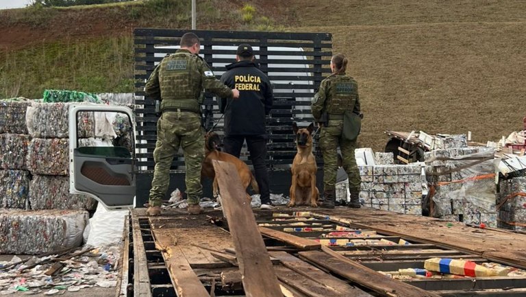 pf-apreende-550-quilos-de-maco