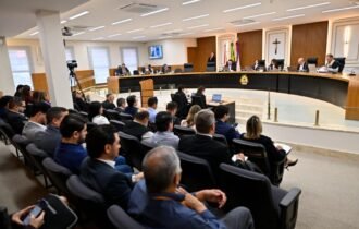 tce-am-indica-representantes-p