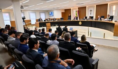 tce-am-indica-representantes-p