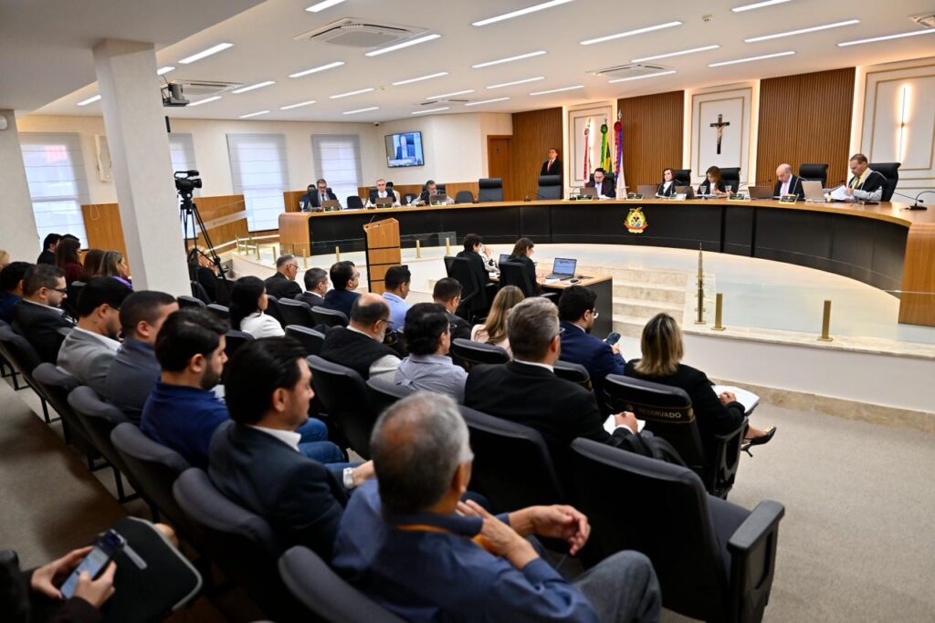 tce-am-indica-representantes-p
