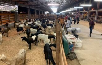 10a-feira-de-agronegocios-da-n