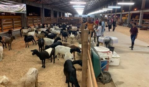 10a-feira-de-agronegocios-da-n