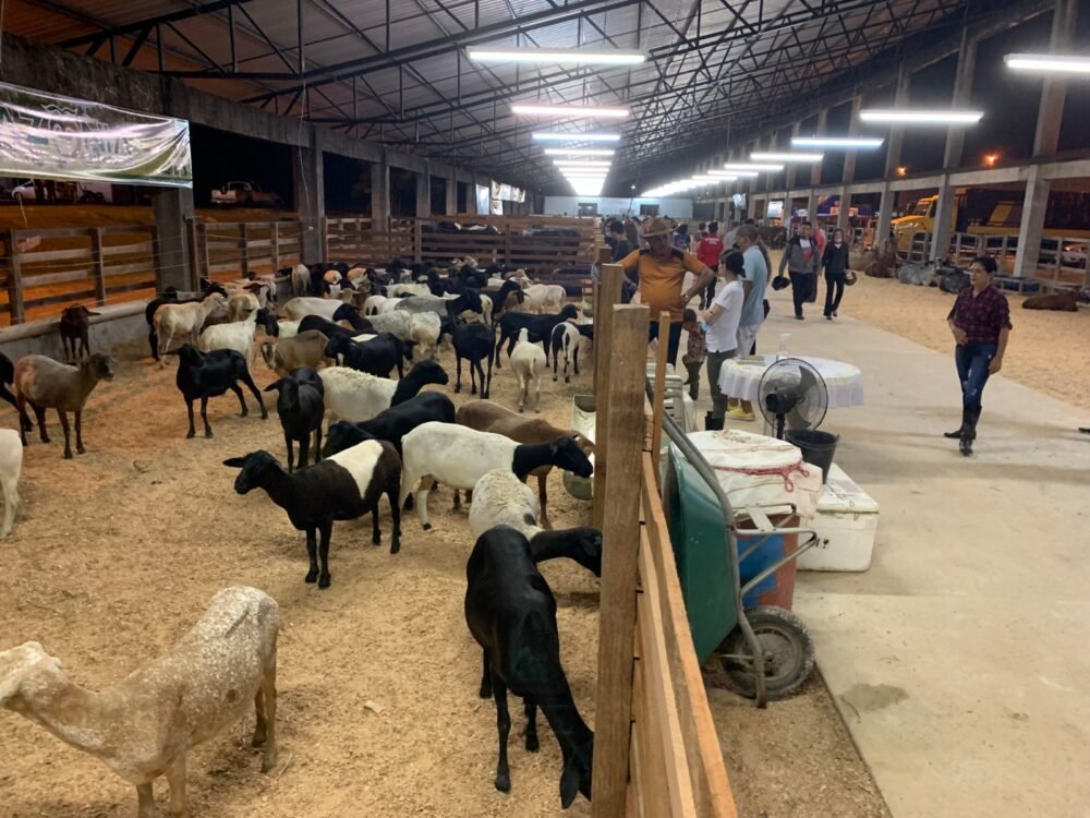 10a-feira-de-agronegocios-da-n