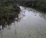 cerrado-perdeu-38-de-agua-em-r