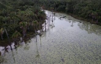 cerrado-perdeu-38-de-agua-em-r