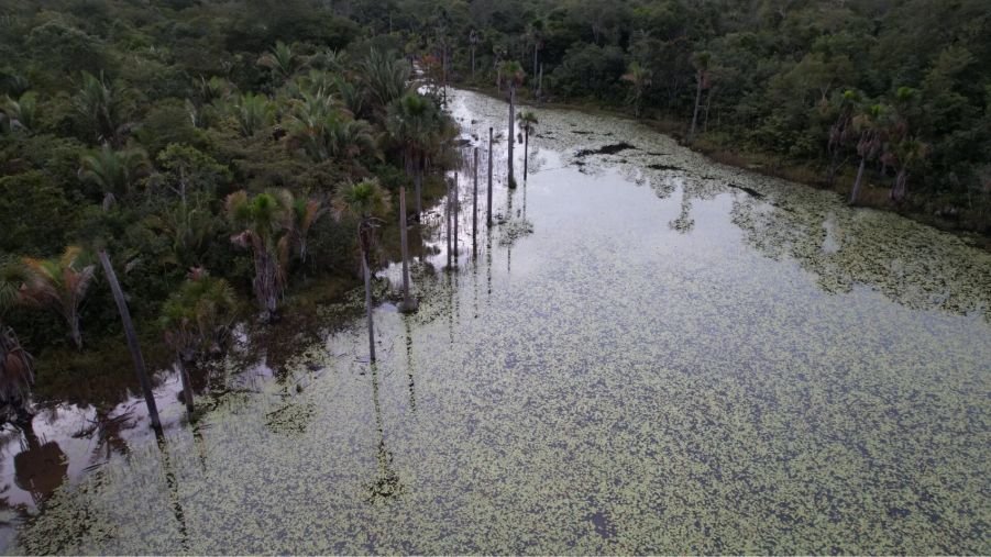 cerrado-perdeu-38-de-agua-em-r