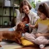 com-160-milhoes-de-pets-brasil