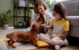 com-160-milhoes-de-pets-brasil