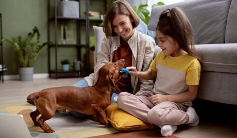 com-160-milhoes-de-pets-brasil