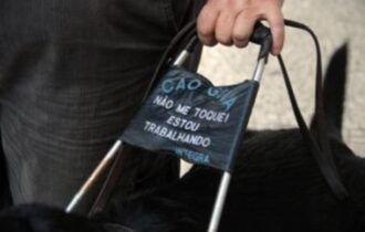 doacao-de-cadela-do-programa-c