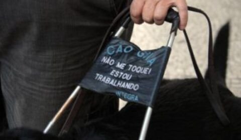 doacao-de-cadela-do-programa-c