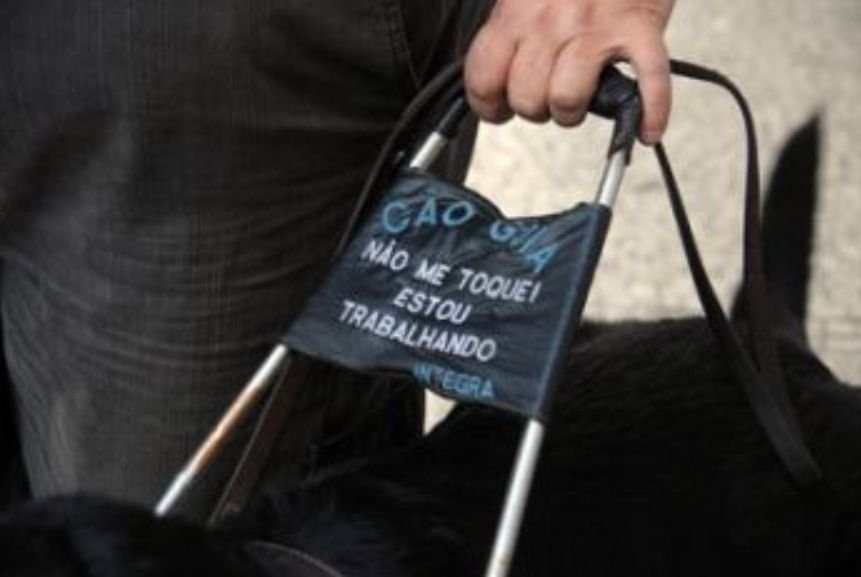 doacao-de-cadela-do-programa-c