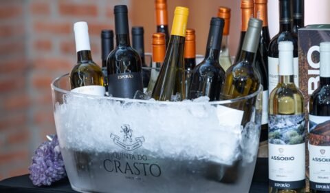 mercado-de-vinhos-bate-recorde