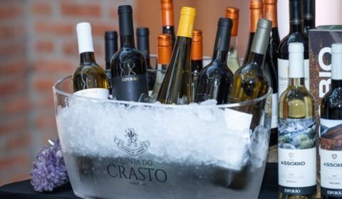 mercado-de-vinhos-bate-recorde