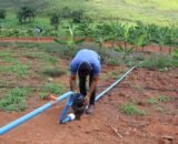 projeto-libera-r-33-milhoes-pa