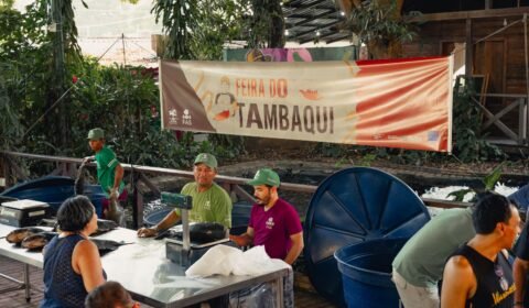 feira-do-tambaqui-oferece-8-to