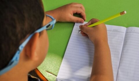 mpf-inicia-atuacao-coordenada-